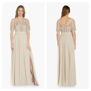 Adrianna Papell Long Dress